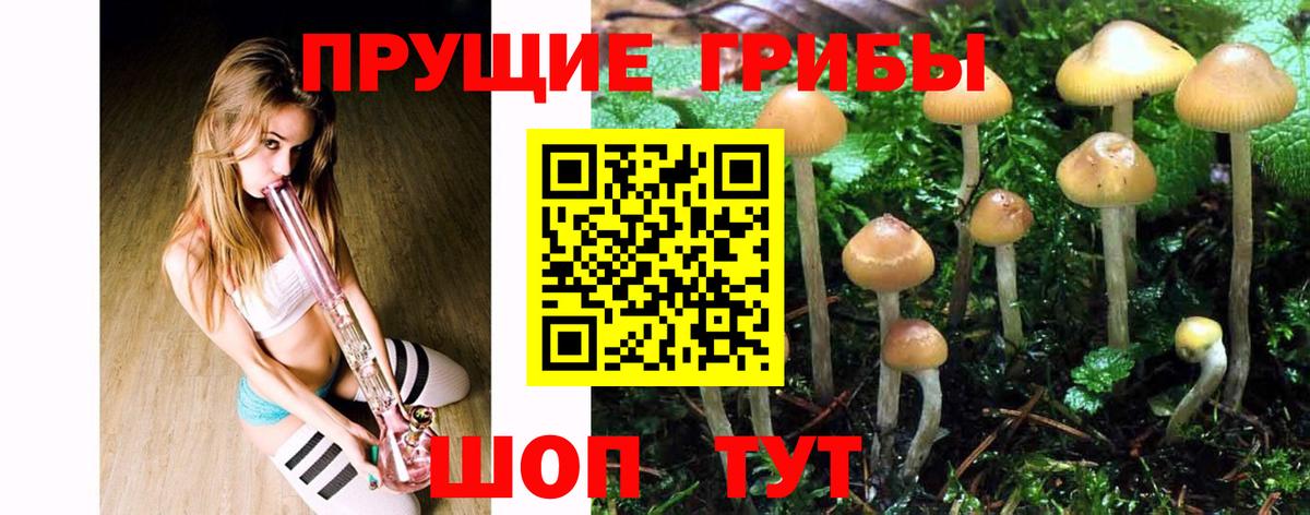 Галлюциногенные грибы MAGIC MUSHROOMS Владивосток