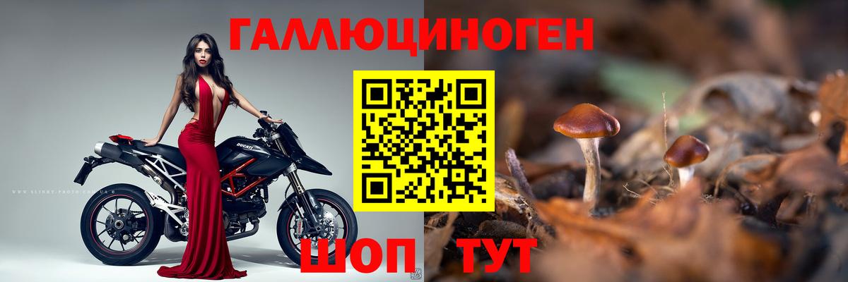 Галлюциногенные грибы прущие грибы  Галлюциногенные грибы MAGIC MUSHROOMS  Вход с VPN  Владивосток 
